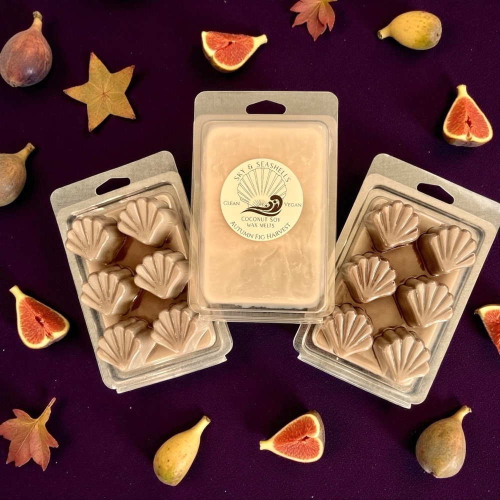 Hand Crafted “Autumn Fig Harvest” Scented Wax Melts - Coconut Soy Wax Seashells